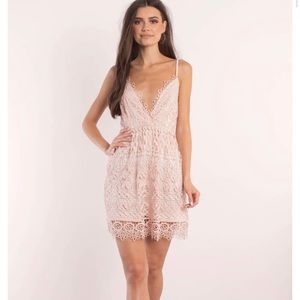 TOBI LACE ALL AROUND SKATER DRESS IN ROSE